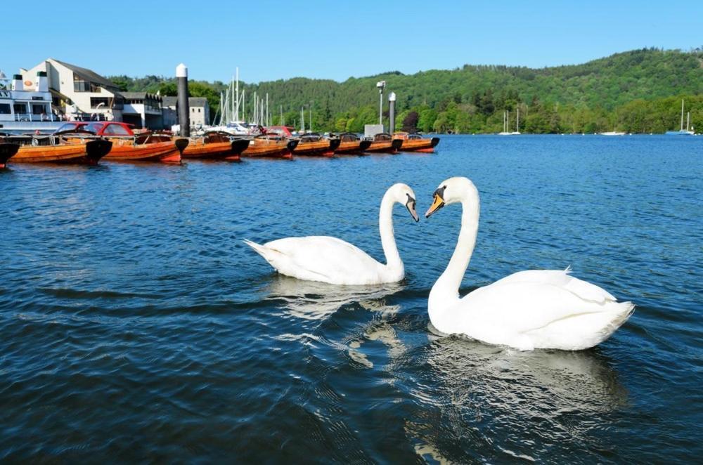 1 West End Boutique Apartment Bowness-on-Windermere Eksteriør bilde